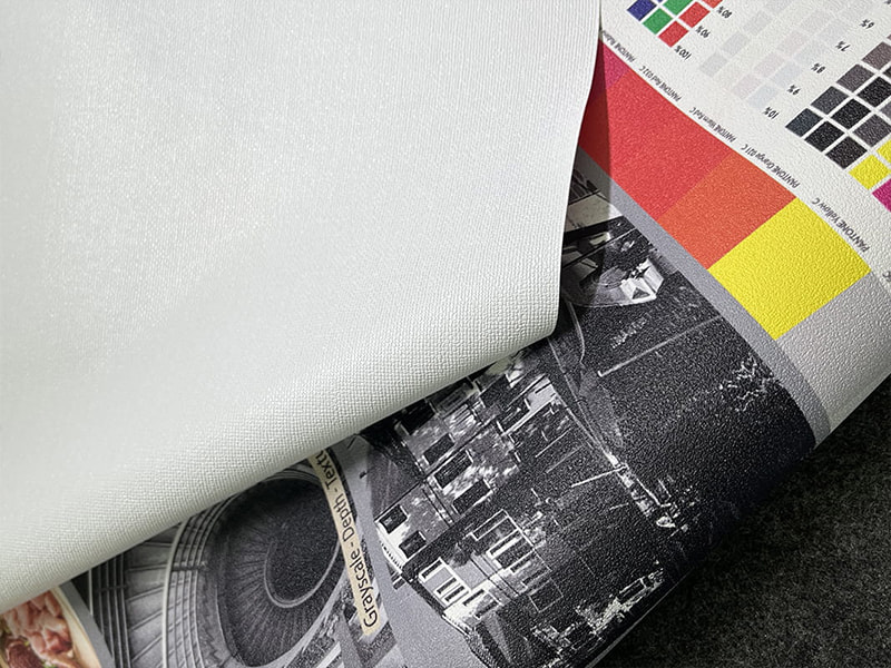 Film de substrat imprimable blanc opaque pour l'impression au solvant